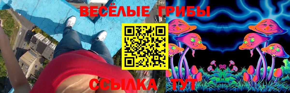 что такое наркотик  Псилоцибиновые грибы Cubensis  Вход с VPN  Кулебаки 
