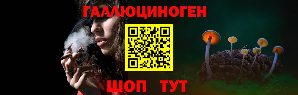 Галлюциногенные грибы ЛСД Кулебаки