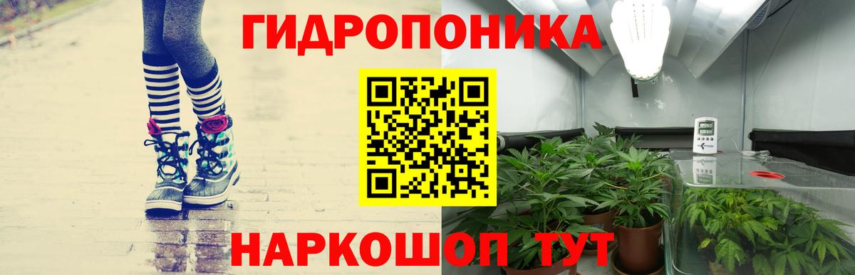 Конопля сатива  Марихуана Bruce Banner  Канабис ГИДРОПОН  Вход с VPN  Кулебаки 